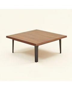Alviso Coffee Table (synthetic illustration; no displayed measurements)