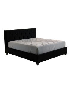 Janiya Tufted Platform Bed