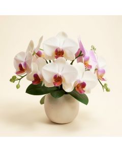 Artificial Mini Phalaenopsis Orchids Floral Arrangement (synthetic illustration; no displayed measurements)