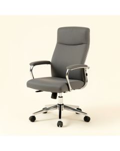 Dcarlo Executive Chair (synthetic illustration; no displayed measurements)