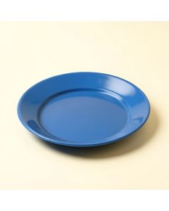 Asoghig 9 '' Melamine Salad Plate (synthetic illustration; no displayed measurements)