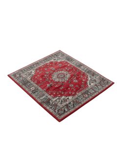 Adoraim Power Loom Red/Gray Rug