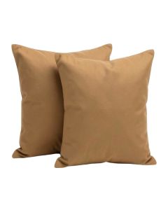 Two Throw Pillow (synthetic illustration; no displayed measurements)