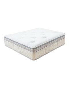 Wayfair Sleep 10.5 '' Plush Hybrid Mattress