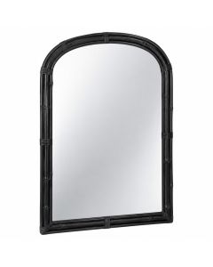 Fern Branch Framed Wall Mirror - Black