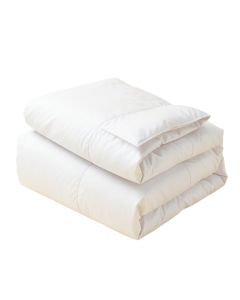 Ananias Duvet Cover Set (synthetic illustration; no displayed measurements)
