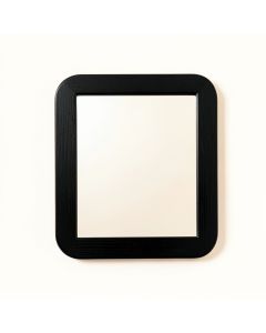 Summit Branch Framed Wall Mirror - Black (synthetic illustration; no displayed measurements)