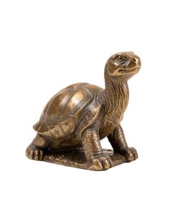 Donita Reading Tortoise And Hare Solar Statue