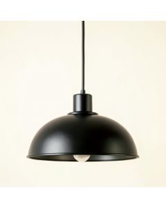 Lake Canyon Pendant Light Suspended From One Plain Cable - Black (synthetic illustration; no displayed measurements)