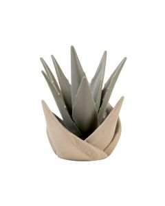 Ralston Spiral Aloe Garden Art (synthetic illustration; no displayed measurements)