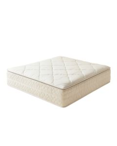 Winsor 4.5 '' Plush Innerspring Mattress