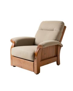 Daryana 26.5 '' Wide Manual Rocker Standard Recliner (synthetic illustration; no displayed measurements)