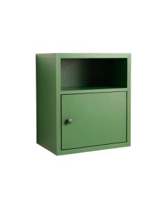 Wren Crest Wall-Mounted Entry Cabinet - Green (synthetic illustration; no displayed measurements)