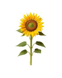 Sunflower Bush