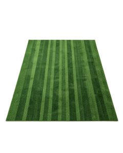 Alder Bluff Rectangular Area Rug - Green (synthetic illustration; no displayed measurements)