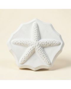 6 '' X 6 '' Seastone Cement Starfish Fossil Impression Bevel Edge Medallion Tile In White (synthetic illustration; no displayed measurements)