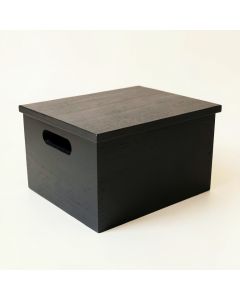 Reed Bend Low Toy Storage Unit - Black (synthetic illustration; no displayed measurements)
