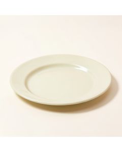 Willsboro Melamine 8.25 '' Salad Plate (synthetic illustration; no displayed measurements)