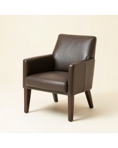 Tynecastle Upholstered Dining Chair (synthetic illustration; no displayed measurements)