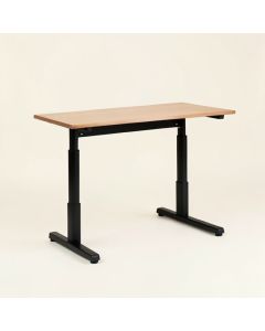 Height Adjustable Standing Gaming Desk (synthetic illustration; no displayed measurements)