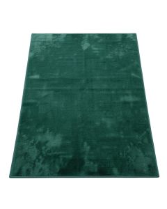Llewellyn Oriental Teal Area Rug (synthetic illustration; no displayed measurements)