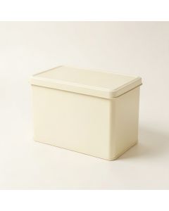 Shore Branch Closed Outdoor Storage Box - Ivory (synthetic illustration; no displayed measurements)