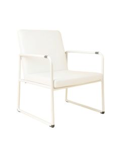 Aleasia 23 '' Wide Armchair