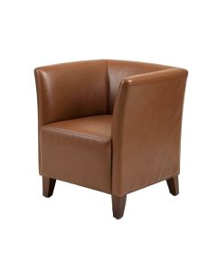 Aayush Side Chair (synthetic illustration; no displayed measurements)