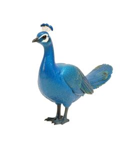 Portersville Peacock