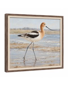 Long Legged Avocet - Picture Frame Print On Canvas
