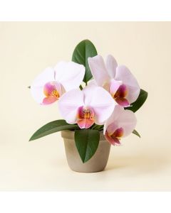 Artificial Double Phalaenopsis Orchid Floral Arrangement (synthetic illustration; no displayed measurements)