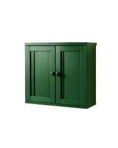 Wren Dale Wall-Mounted Entry Cabinet - Green