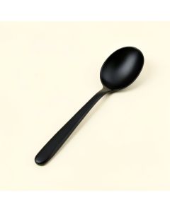 Bay Crossing Cooking Spoon - Black (synthetic illustration; no displayed measurements)