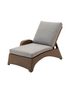 Aldusa Reclining Chaise Lounge With Cushion