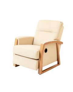 Rumford 32.3 '' Wide Power Lift Assist Standard Recliner (synthetic illustration; no displayed measurements)