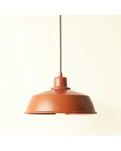 Lake Arc Pendant Light Suspended From One Plain Cable (synthetic illustration; no displayed measurements)