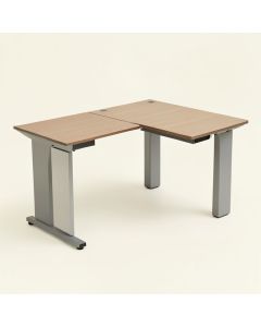 Delani L-Shape Desk (synthetic illustration; no displayed measurements)