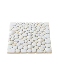 Shore 1 '' X 1 '' Seashell Mosaic Tile