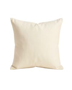 Buitron Throw Pillow