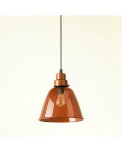 Birch Arc Pendant Light Suspended From One Plain Cable (synthetic illustration; no displayed measurements)