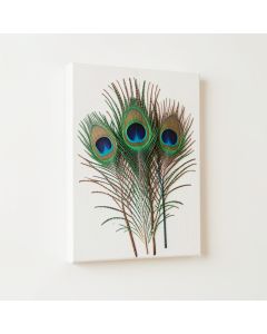 Peacock Feather - 3 Piece Graphic Art On Wrapped Canvas Set (synthetic illustration; no displayed measurements)