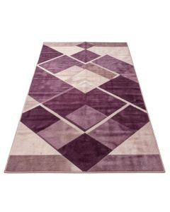 Gober Geometric Plum Area Rug
