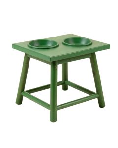 Ash Canyon Pet Feeding Stand With Two Plain Empty Bowls - Green (synthetic illustration; no displayed measurements)