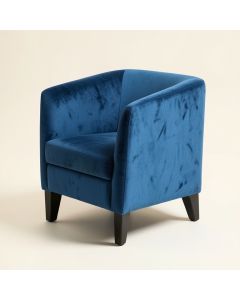 Rezzan Velvet Side Chair In Blue (synthetic illustration; no displayed measurements)