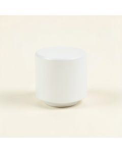 Elm Crossing Cabinet Knob Without Packaging - White (synthetic illustration; no displayed measurements)