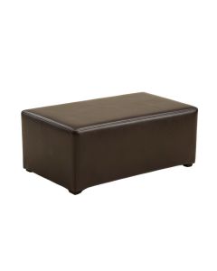 Sperling Faux Leather Storage Bench