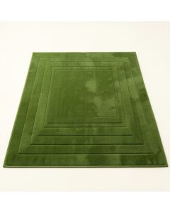 Field Bridge Rectangular Outdoor Rug - Green (synthetic illustration; no displayed measurements)
