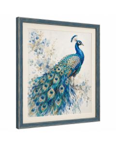 Peacock By Edswatercolours - Print