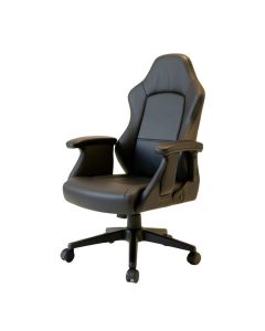 Raicing Chair