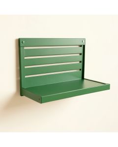 Alder Bluff Wall-Mounted Entryway Organizer Shelf - Green (synthetic illustration; no displayed measurements)